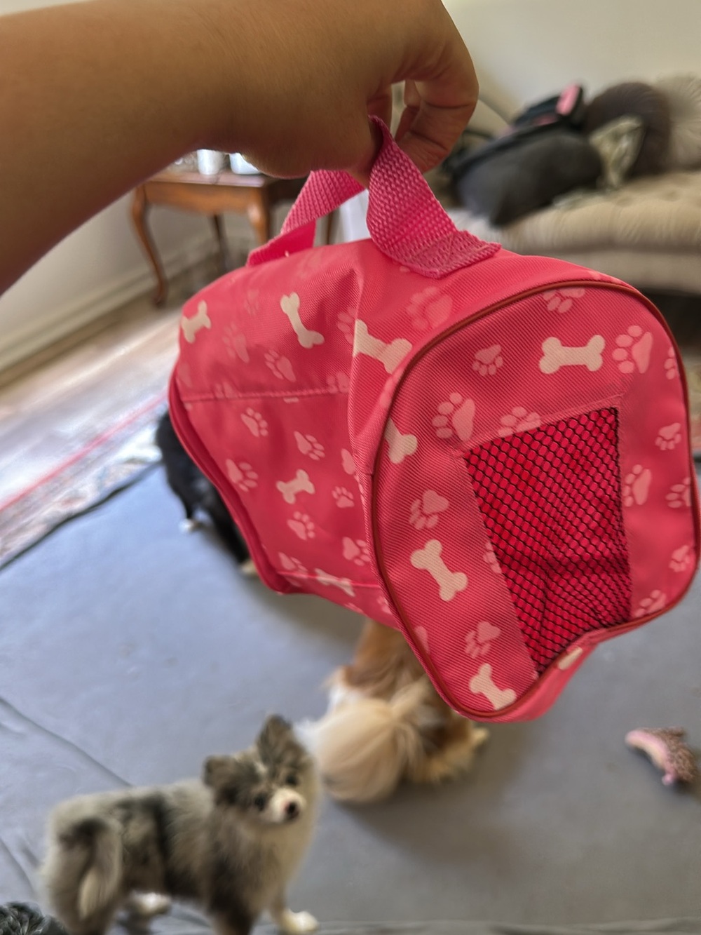 Pink Dog Carrier with Bone & Paw Print